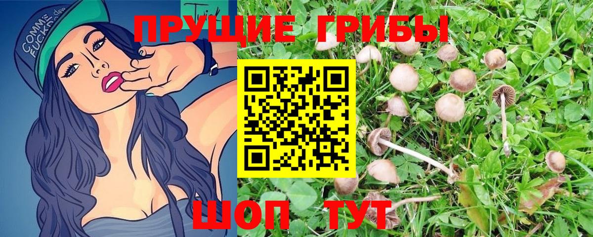 Галлюциногенные грибы Magic Shrooms Таганрог